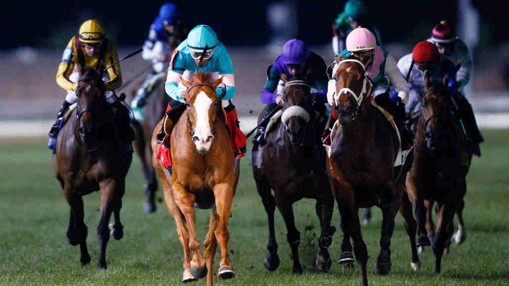 horse race betting vs poker